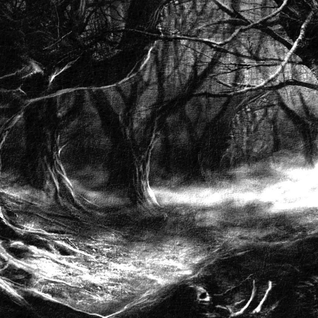 Тень лесной тайны: Мистическая история исчезновения детей
